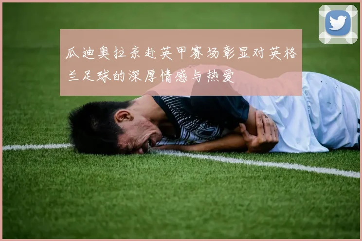 瓜迪奥拉亲赴英甲赛场彰显对英格兰足球的深厚情感与热爱