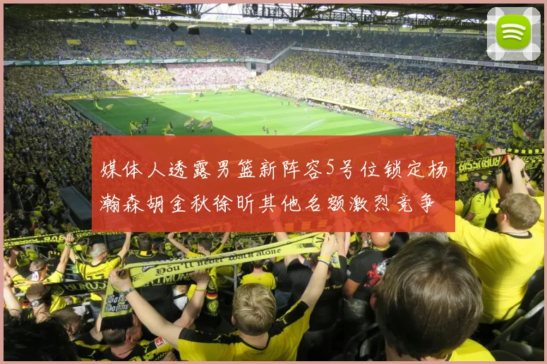 媒体人透露男篮新阵容5号位锁定杨瀚森胡金秋徐昕其他名额激烈竞争